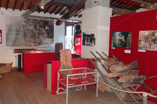 Exposition Le Chêne-Liège et son Ecorce