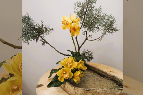 Démonstration Ikebana (Art Floral Japonais)_Sainte-Maxime
