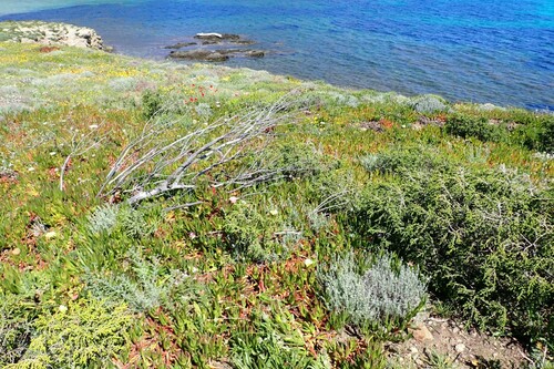 Chantier Nature
