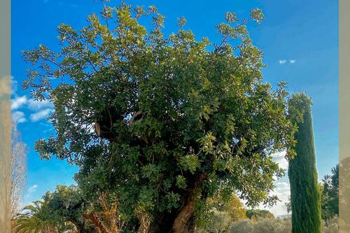 Espace Pierre Basset