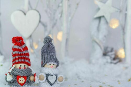 Exposition éphémère du conservatoire de la connaissance_Sainte-Maxime