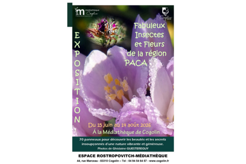 Médiathèque