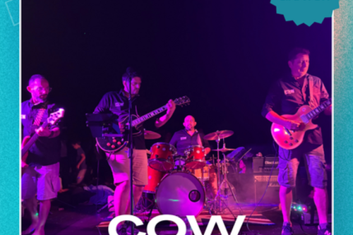 Concert Cow