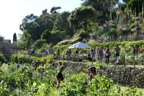 Gondwana, la Fête des Plantes Méditerranéennes