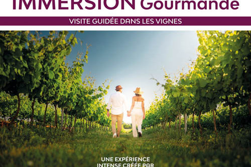 Immersion gourmande : Balade dans les vignes_Sainte-Maxime