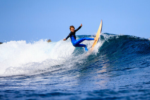 Surf boards rental
