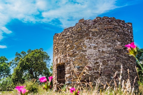 Le Moulin Brulat à Gassin