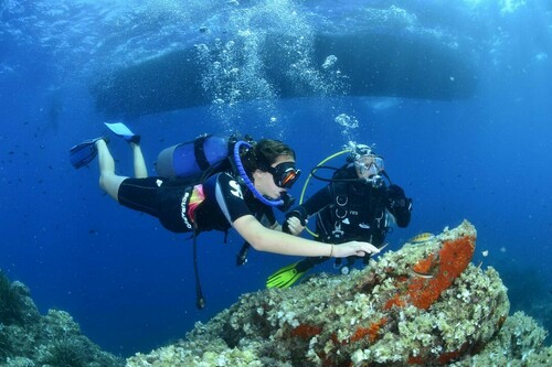 A la découverte des fonds marins