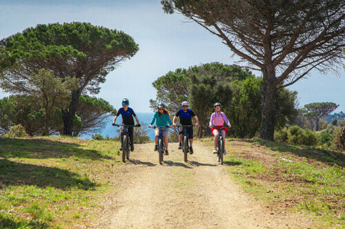 Group offer / E-Bike ride with guide