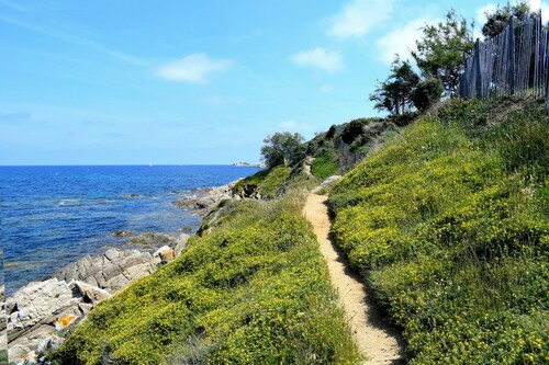 Randonnée “De la plage de Bonne terrasse au sommet du phare de Camarat”