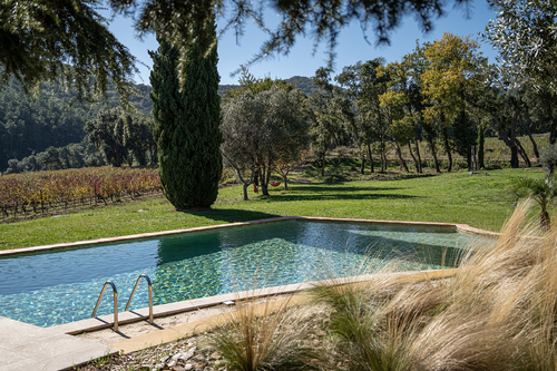 Séjour au cœur des vignes au Domaine Clos Mirage