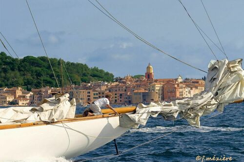Les Voiles de Saint-Tropez