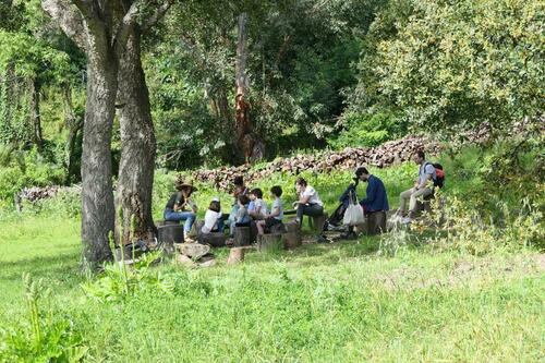 Sous l’arbre aux histoires_Rayol-Canadel sur Mer