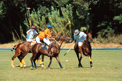Tournoi de polo