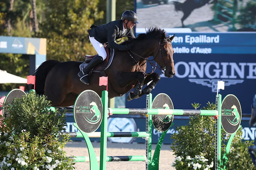 Tournois de Jumping