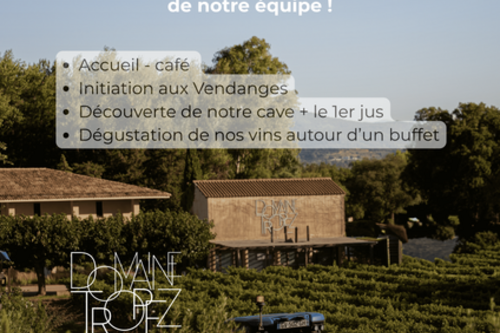 Vendangeur d'un jour