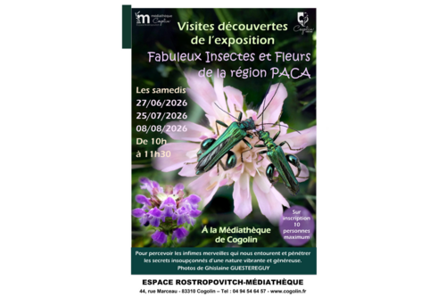 Médiathèque