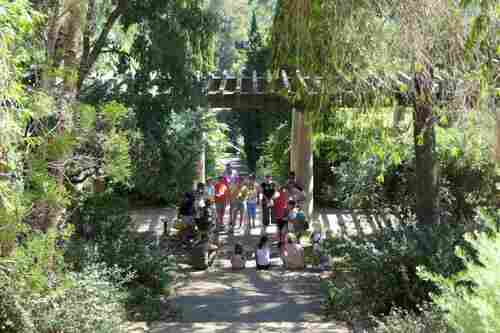 Visite guidée du Jardin des Méditerranées