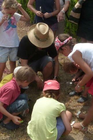 Activité enfant "Les mains dans la terre"