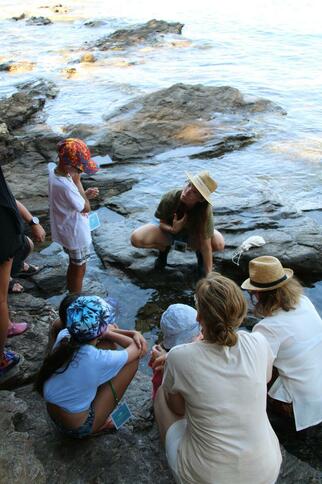 Activité enfant "Les pieds dans l'eau"_Rayol-Canadel sur Mer