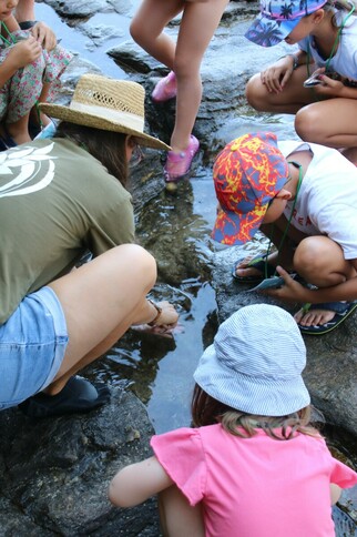 Activité enfant "Les pieds dans l'eau"_Rayol-Canadel sur Mer