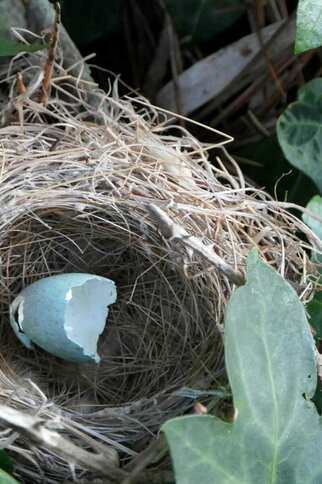 Activité enfants « Sur les traces des animaux en hiver »_Rayol-Canadel Sur Mer