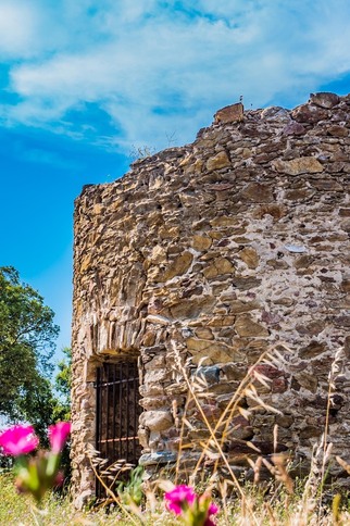 Le Moulin Brulat à Gassin