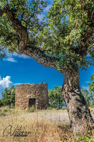 Le Moulin Brulat à Gassin