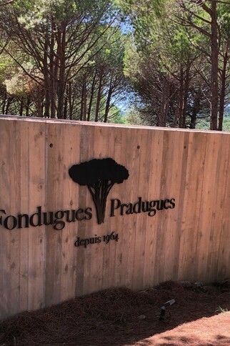 Une bouteille à la mer