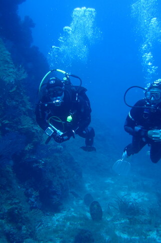 Cap Camarat Plongée