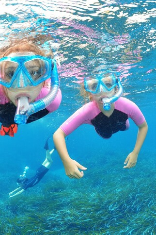 Cap Camarat Plongée