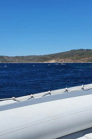 Cap Camarat Plongée