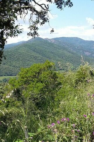 chemin du Laïré-La Mole