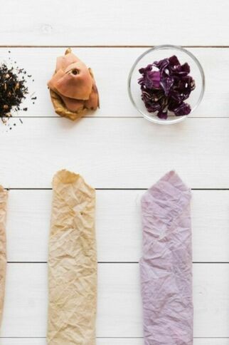 Color’conférence : les pigments du vivant_Sainte-Maxime