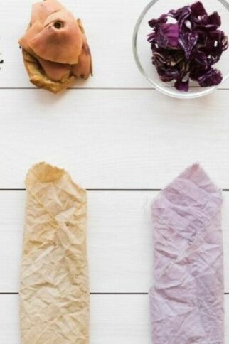 Color’conférence : les pigments du vivant_Sainte-Maxime