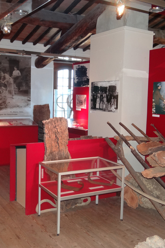 Exposition Le Chêne-Liège et son Ecorce