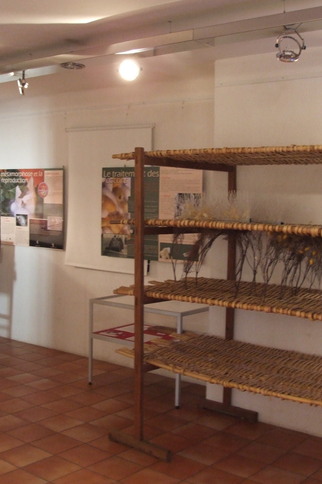 Exposition de l'Elevage de Vers à Soie