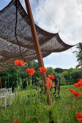 Créativité et bien-être