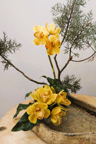 Démonstration Ikebana (Art Floral Japonais)_Sainte-Maxime