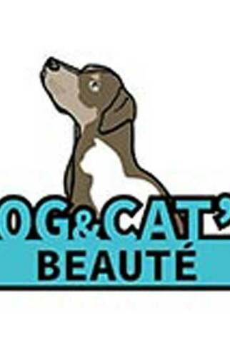 Dog and cat's beauté 1