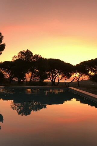 Domaine de la Colline