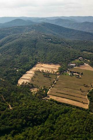 Domaine