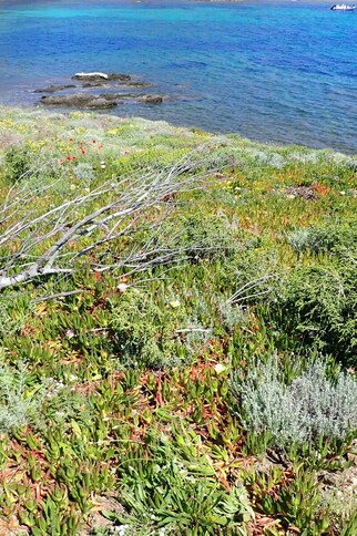 Chantier Nature