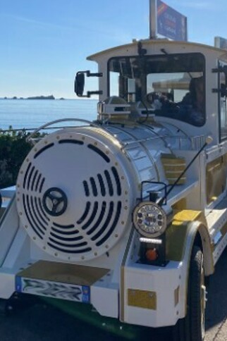 Visite en petit train