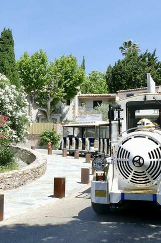 Visite en petit train