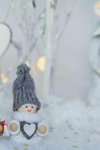 Exposition éphémère du conservatoire de la connaissance_Sainte-Maxime