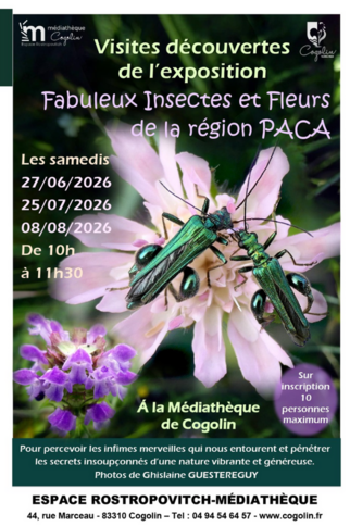 Médiathèque