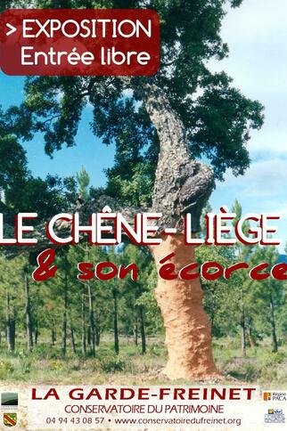 Le Chêne-Liège et son Ecorce