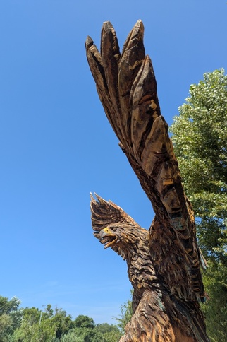 Il vole il plane il a l’amour - sculpture à la tronçonneuse - Red Cedar