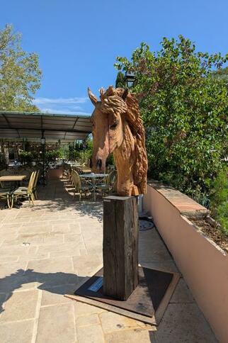 Je reve juste de liberté... - sculpture à la tronçonneuse  - Red Cedar